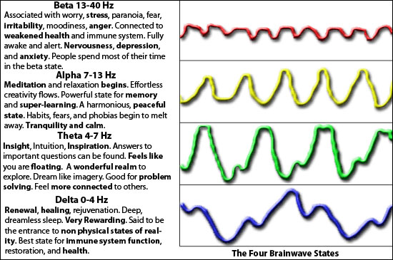 The Four Brainwave States  The Four Brainwave States