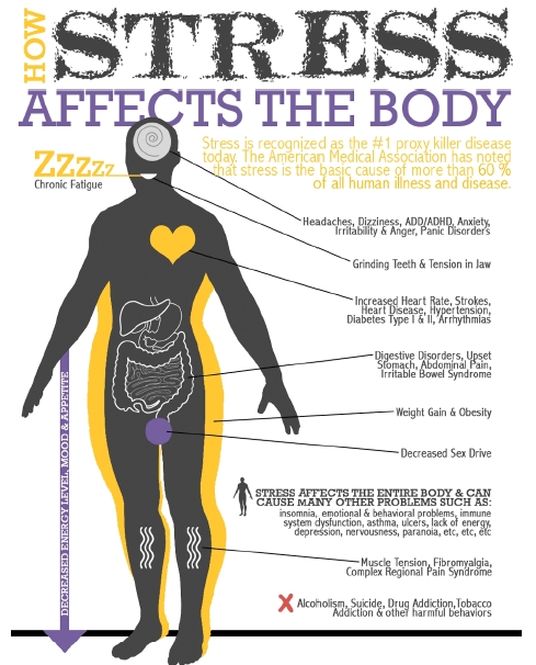 How Stress Affects the Body